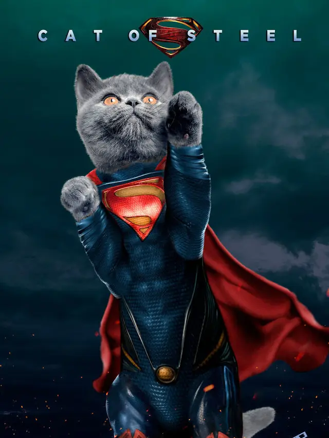 8 Parodi Poster Film Ini Kocak, Peran Utama Diganti Kucing Lucu