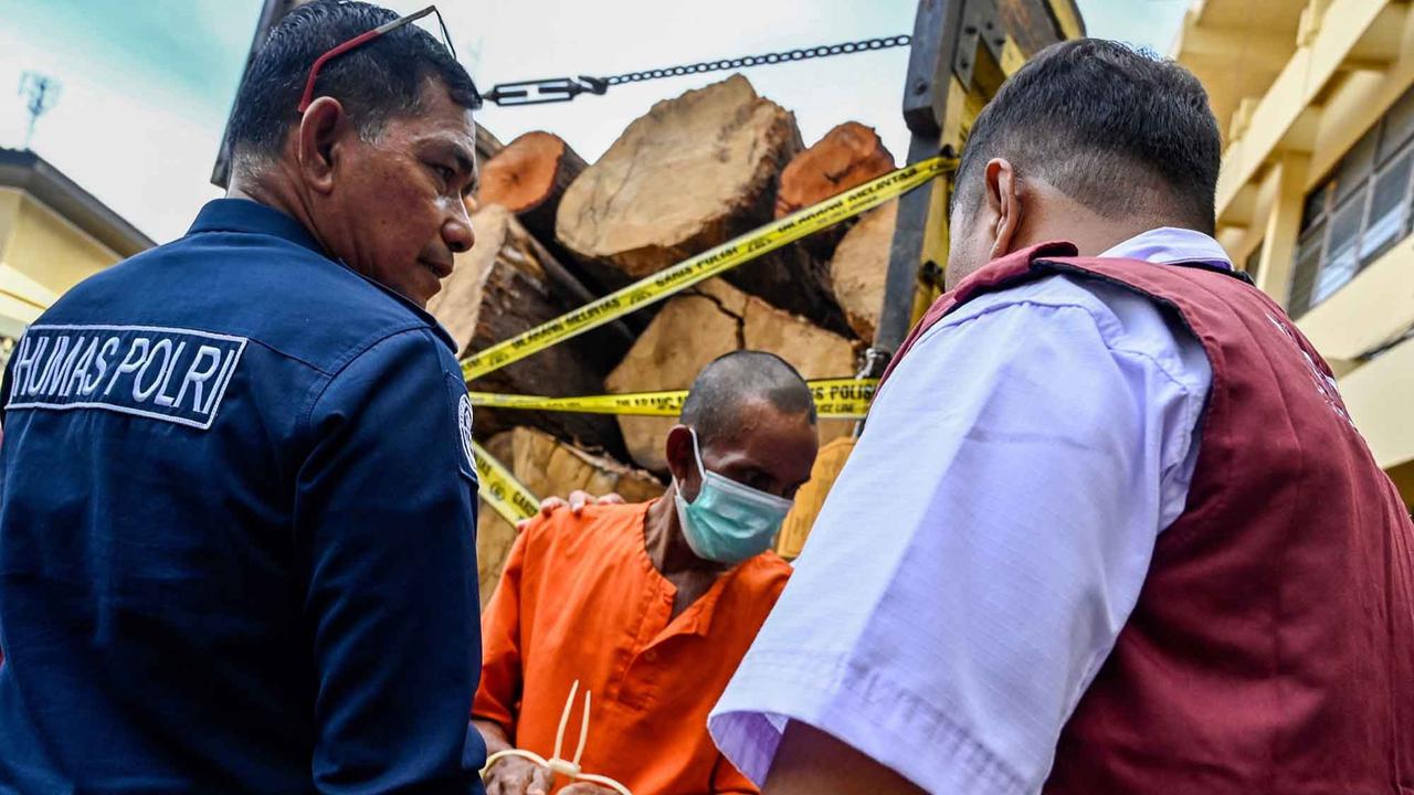 FOTO: Polisi Tangkap Pelaku Pembalakan Liar di Aceh, Sita Truk Bermuatan Kayu Ilegal