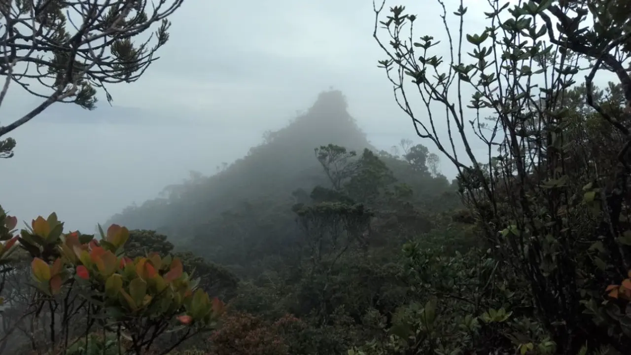 Gunung Sinsing