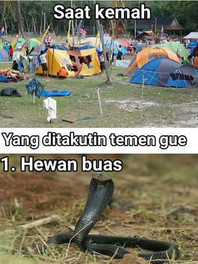 5 Meme Momen Kocak Saat Sedang Kemah Ini Bikin Ngakak