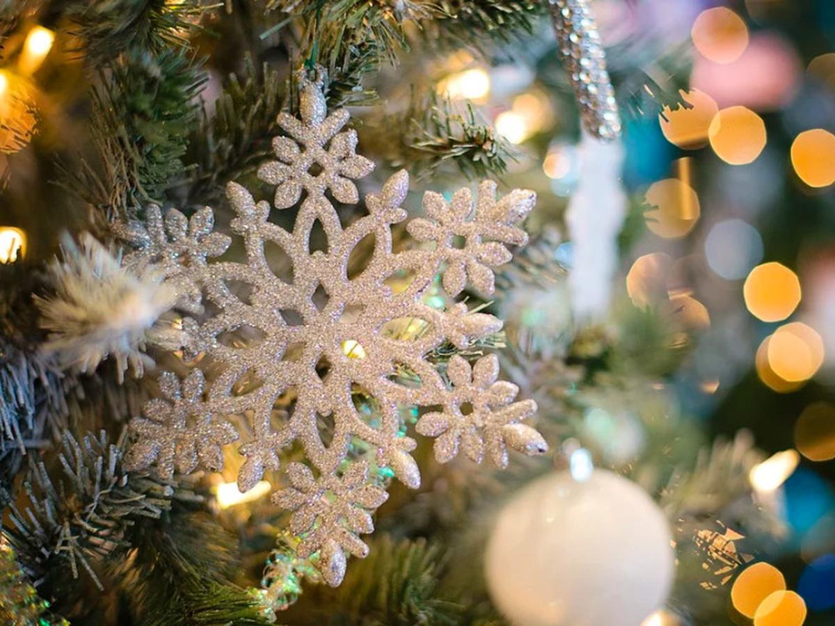 Sambut Natal Dan Tahun Baru Pmi Jember Siapkan Posko Surabaya Liputan6 Com