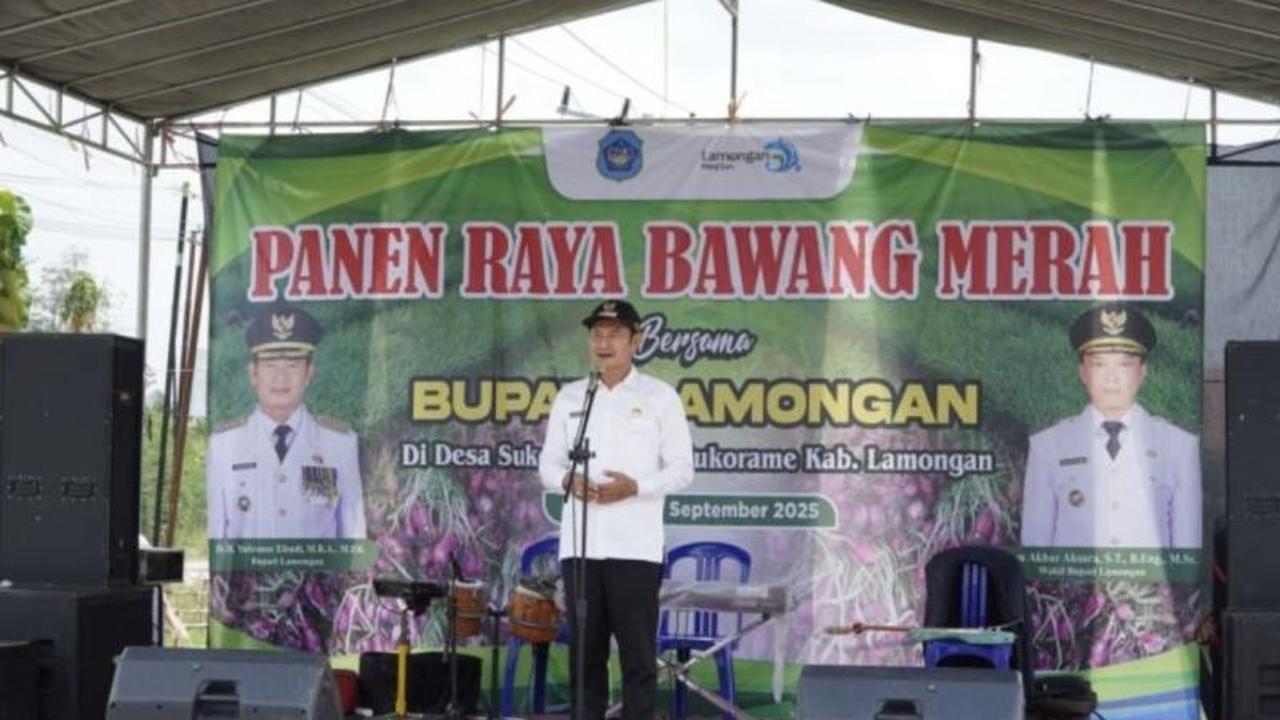 Tahukah Anda? Bawang Merah Lamongan Kini Jadi Andalan Baru Ketahanan Pangan Daerah