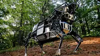 Sebuah perusahaan teknologi menciptakan serangkaian robot untuk keperluan militer Amerika Serikat yang tampak seperti robot Star Wars.