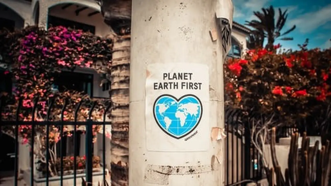 earth hour