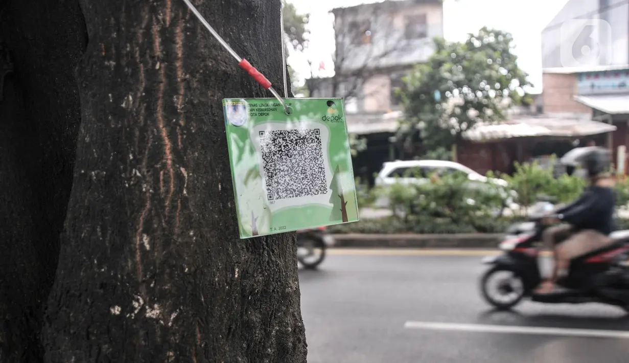 Pengendara motor melintasi pohon yang terpasang "QR code" di Jalan Ir H Juanda, Depok, Jawa Barat, Minggu (27/11/2022). Pemerintah Kota Depok memasang "QR code" pada 1.500 pohon perindang di Jalan Margonda Raya dan Jalan Ir H Juanda dengan total anggaran Rp49 juta untuk mengedukasi warga dengan informasi berupa nama pohon, nama ilmiah, umur maksimal, tinggi, lokasi, daya serap CO2 dan kode pohon untuk pendataan. (merdeka.com/Iqbal S. Nugroho)