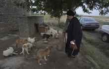 Tata Cara Membersihkan Najis Anjing dalam Islam, Panduan Syariat yang Tepat