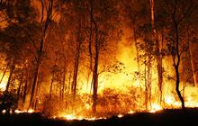 10 Hari tak turun hujan, titik api di Riau bertambah banyak