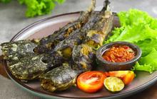 Apakah Ikan Lele Mengandung Kolesterol? Cermati Kandungan Nutrisi & Manfaatnya