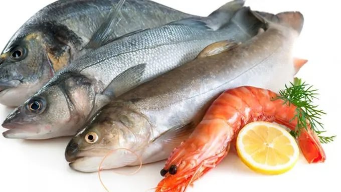 (c) shutterstock.com