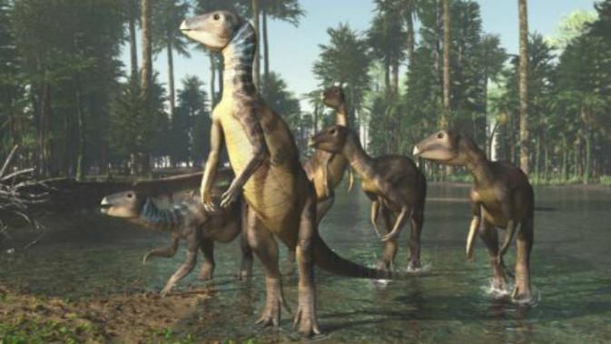 Weewarrasaurus pobeni adalah dinosaurus pertama yang dinamai di New South Wales (NSW), Australia, dalam hampir satu abad ini. (University of New England)