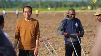 Presiden Jokowi hadiri kick off food estate penanaman jagung di atas lahan 10 ribu hektare di Distrik Manem, Kabupaten Keerom, Provinsi Papua, Selasa (21/3)/Istimewa.