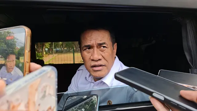 Tiga Negara Jadi Target Ekspor Beras RI, Ada Filipina-Papua Nugini