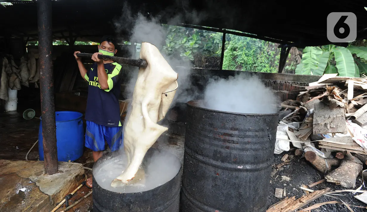 Pekerja merebus bahan baku kerupuk kulit di Pabrik Krupuk Kulit Bambang, Depok, Rabu (17/2/2021). Pemilik usaha menurunkan jumlah produksi kerupuk kulit mentah siap goreng dari 1 ton menjadi 500 kg per hari akibat pandemi COVID-19 dengan harga jual Rp90 ribu per kilogram. (merdeka.com/Arie Basuki)