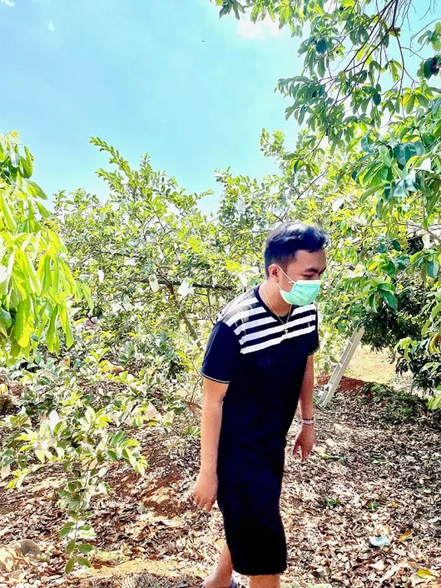 Selebgram David Arrie Cantona saat membantu pasangan kakek nenek yang berprofesi sebagai petani jambu (https://www.instagram.com/p/CS_UuTzFeaF/)