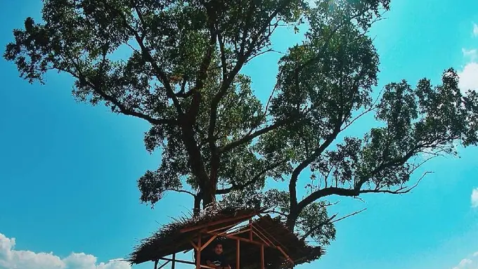 [Bintang] Sumatera Barat