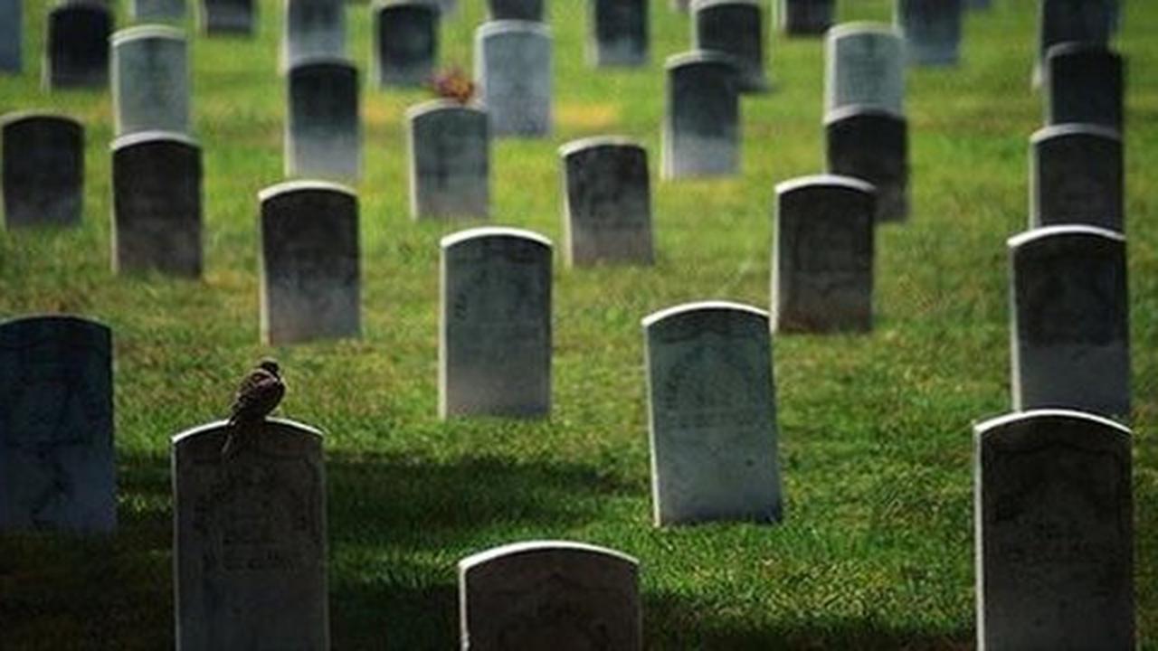 Misteri Belasan Kuburan Termasuk Makam Bayi & Anak di Bangli Bali dalam Keadaan Terbongkar, Apa Motif Pelaku?