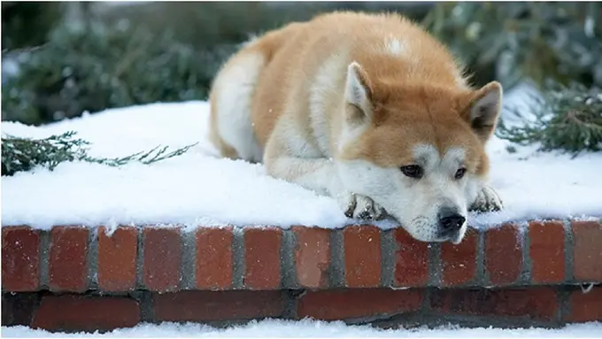 (c)onesecrethunt.com