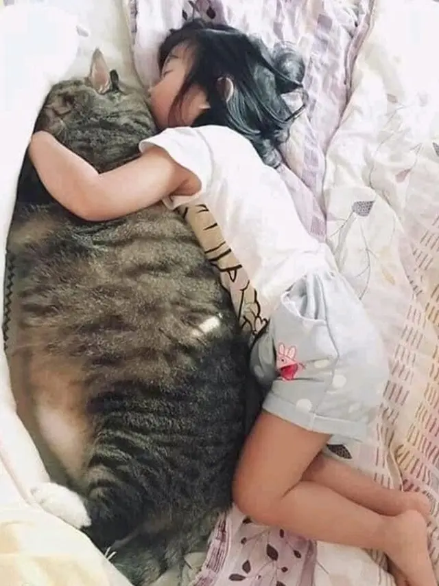 6 Foto Ini Jadi Bukti Cinta Tulus Anak Kecil ke Kucing