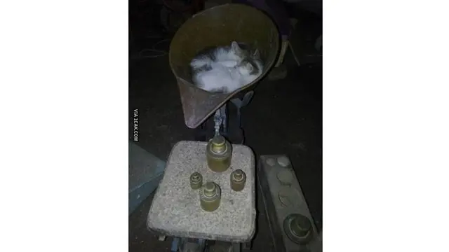 6 Momen Lucu Pakai Timbangan Ini Bikin Ngakak