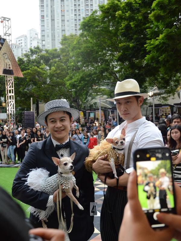 Keseruan Dog Does Disco 2019 di Central Park, Jakarta. (dok. Central Park dan Neo Soho Mall)