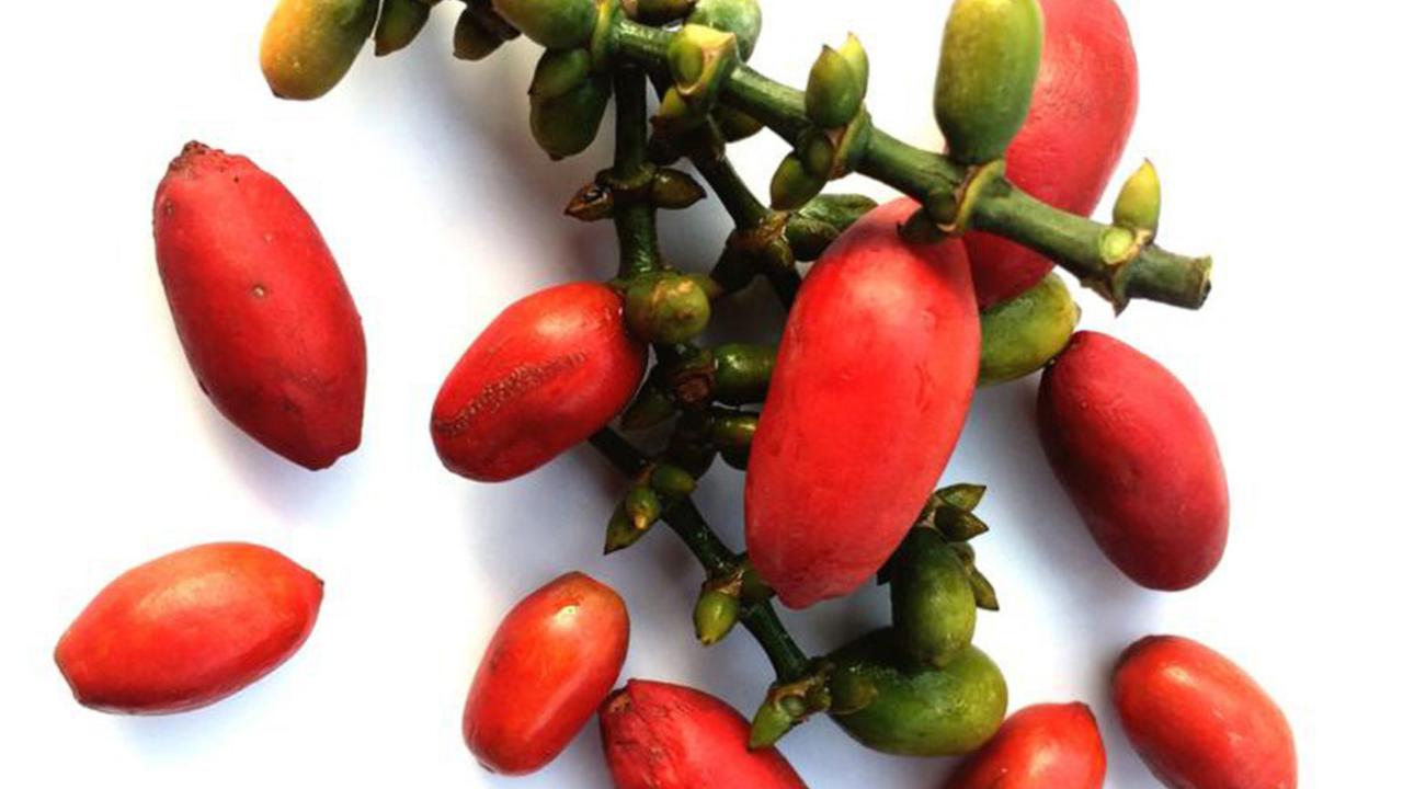 <b>Gunakan Beberapa Bumbu</b><br>