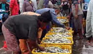 Lampaui Target Swasembada, Pemerintah Bidik Indonesia Jadi Eksportir Ikan Terbesar Dunia