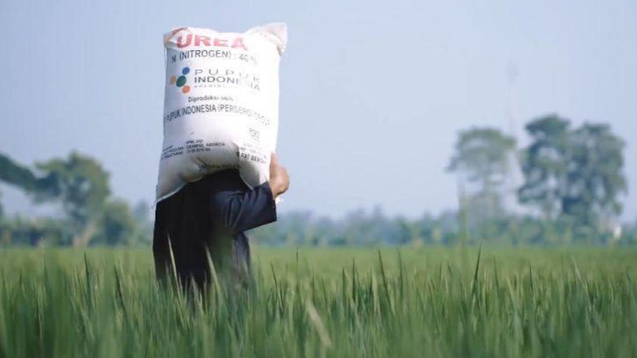 Kementan Jamin Akuntabilitas dan Kemudahan Penebusan Pupuk Subsidi