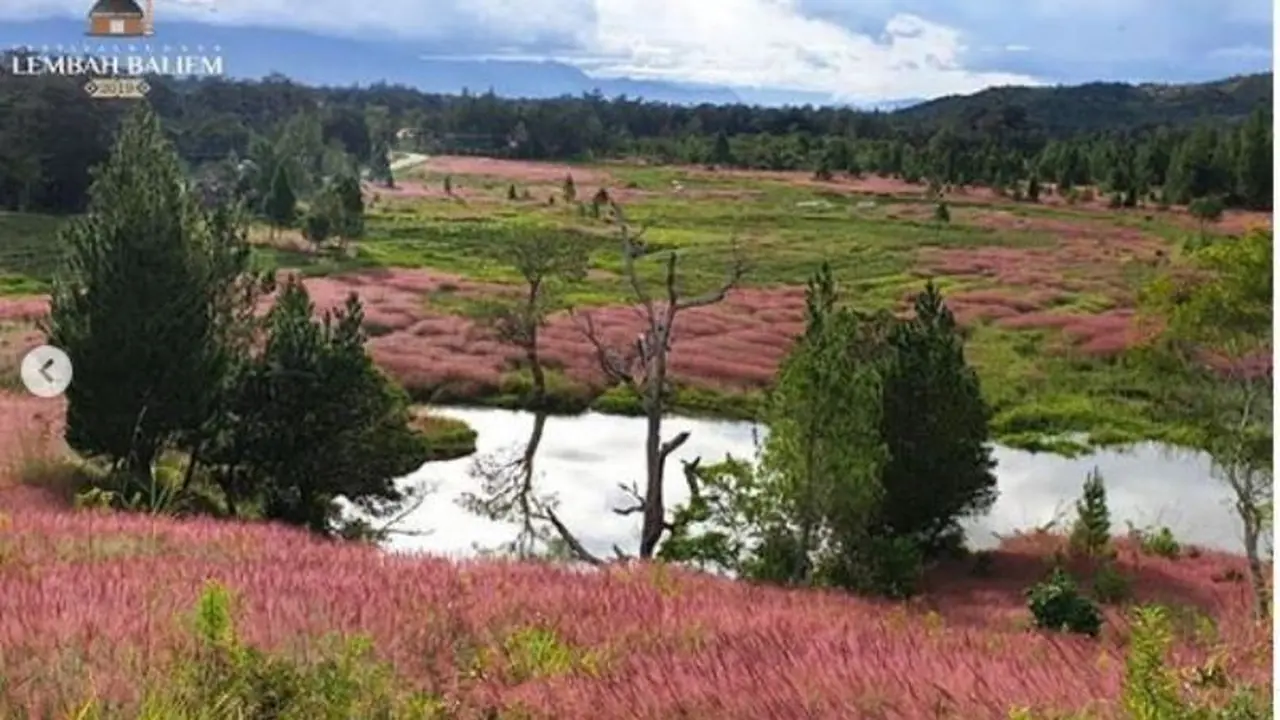 Wamena