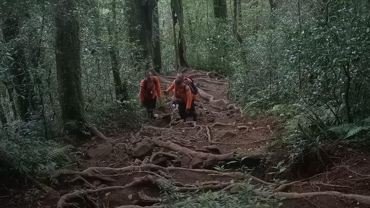 Tersesat Berjam-jam di Gunung Batukaru Bali, 4 Pendaki Akhirnya Bisa Dievakuasi