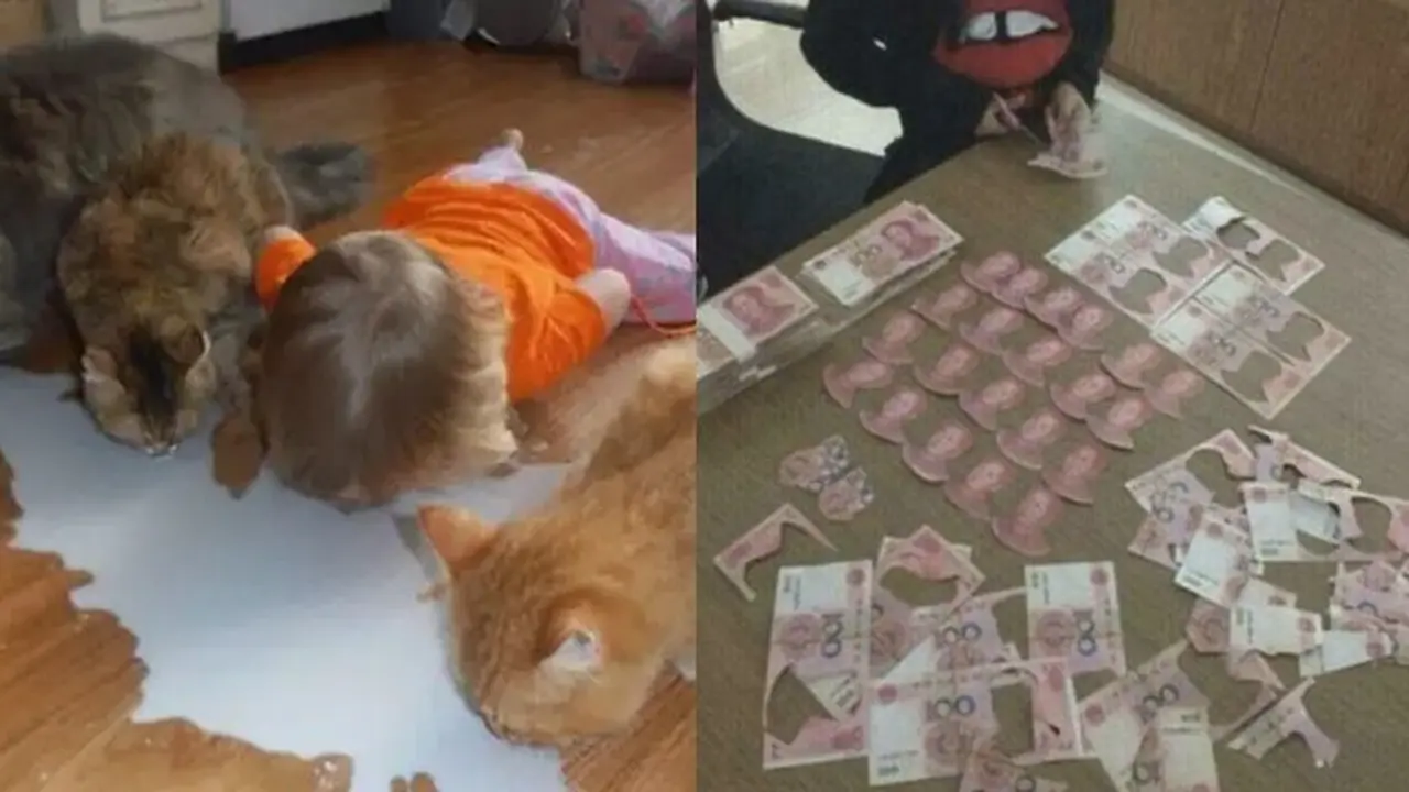 Di Luar Nalar, Ini 7 Potret Tingkah Anak yang Bikin Orang Tua Geram
