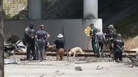 Pesawat Jatuh di Jalanan Ramai Florida Picu 3 Orang Tewas, 1 Mobil Kena Puing