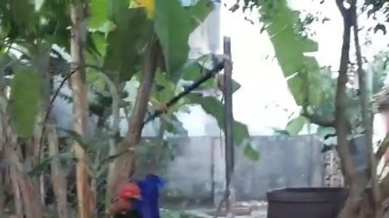 [Bintang] Bikin Ayam Bahagia dengan Ayunan Putar Berikut Ini