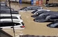 Panduan Lengkap Klaim Asuransi Mobil Akibat Banjir di Jabodetabek
