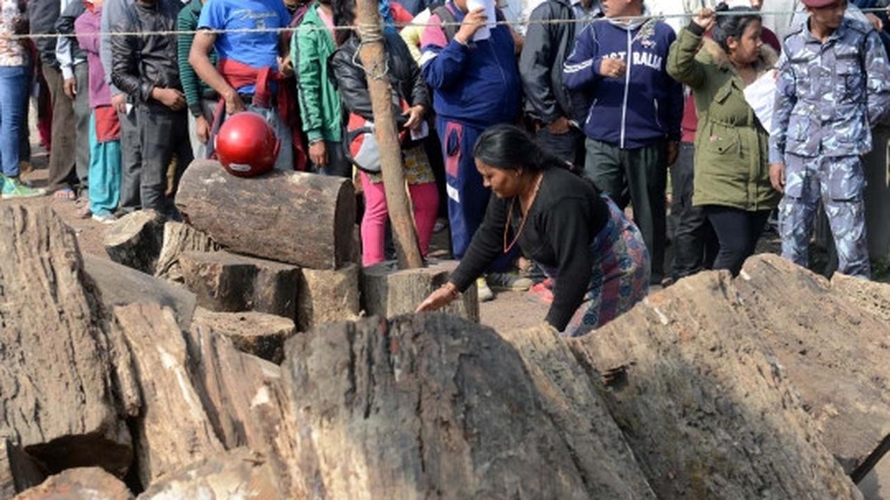 Krisis BBM, pemerintah Nepal jual kayu bakar