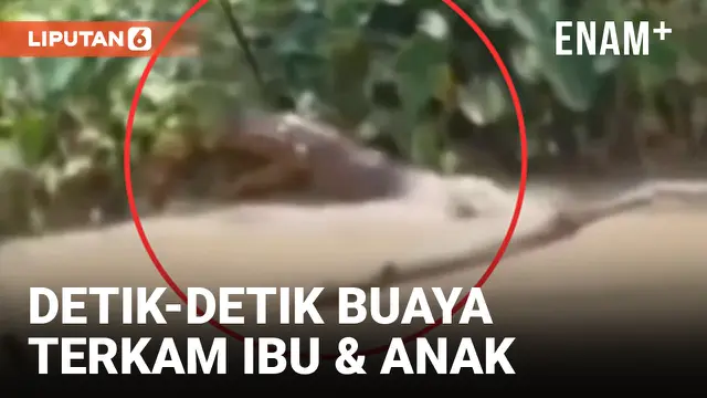 VIDEO: Cuci Pakaian di Sungai, Ibu dan Anak di Labura Diterkam Buaya