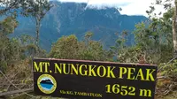 6 Fakta Menarik Gunung Nungkok di Malaysia yang Terkenal Sebagai Anak Gunung Kinabalu