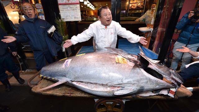 Fantastis Pengusaha Jepang Beli Ikan Tuna Raksasa Seharga