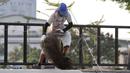 Pekerja melepas kawat pagar di arena skate di RPTRA Kalijodo, Jakarta, Selasa (6/6). Untuk menjaga kenyamanan saat bermain, arena skatepark RPTRA kalijodo yang rusak diperbaiki. (Liputan6.com/Yoppy Renato)
