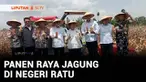 Polri menggelar panen raya jagung serentak kuartal III di berbagai daerah dengan estimasi produksi lebih dari 7.100 ton. Panen raya ini menjadi bagian pelaksanaan ketahanan pangan yang digagas oleh Pemerintah.