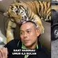 Sempat Viral, Ini 6 Video Terbaru Keluarga yang Pelihara Harimau di Rumah Bak Kucing (TikTok/ming.sumampow)