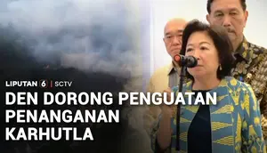 Rapat Bareng Presiden, DEN Dorong Penanganan Karhutla dan Dampak Asap