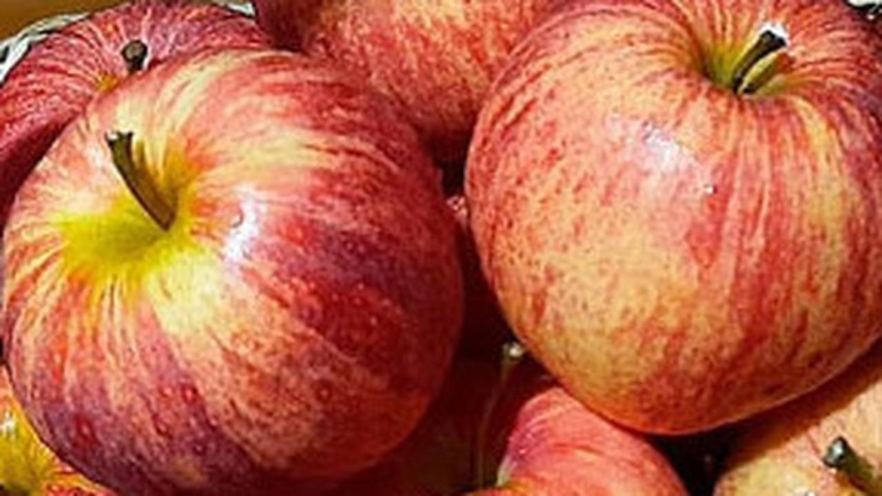 Buah Apel