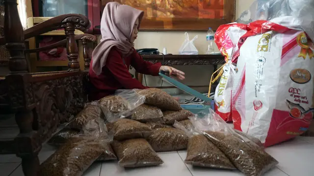 Penggalangan Dana Untuk Kucing Korban Gempa dan Tsunami