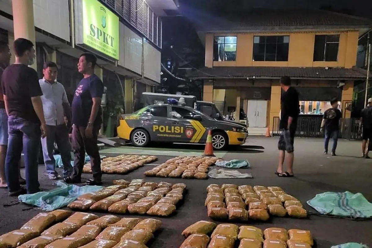 Satuan Narkoba Polres Metro Jakarta Barat menyita ratusan kilogram daun ganja dari jaringan narkotika lintas Sumatera-Jawa.