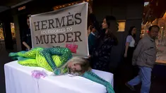 Model Australia Rochelle Relf memenuhi tubuhnya dengan lukisan mirip kulit buaya didepan toko Hermes, Sydney, Australia, Selasa (11/8/2015). Aksi ini sebagai bentuk protes atas penggunaan kulit buaya sebagai produk fashion. (REUTERS/David Gray)