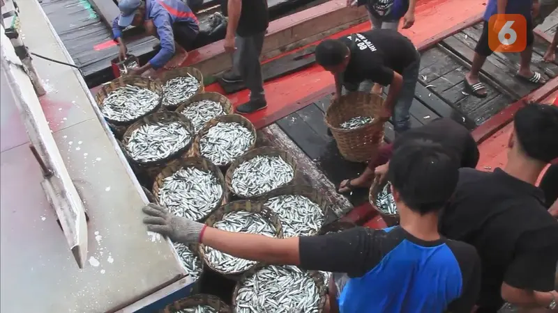 Nelayan Pelabuhanratu Sukabumi saat hendak menjajakan hasil tangkapan ikan kepada para tengkulak (Liputan6.com/Fira Syahrin).