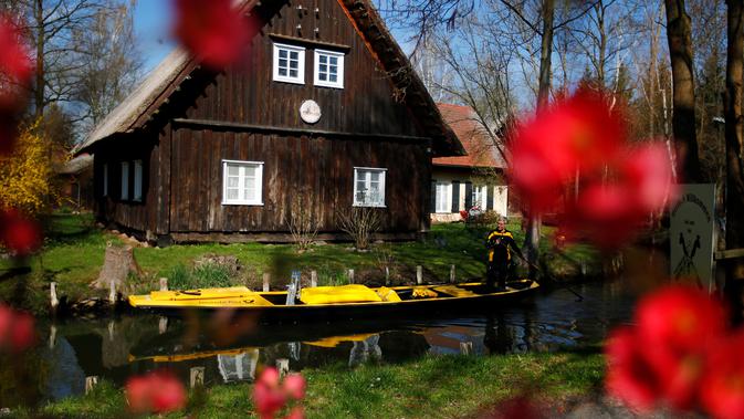 Tukang pos wanita dari Deutsche Pos DHL, Andrea Bunar menggunakan perahu tradisional untuk mengantar surat dan paket di desa Spreewald di Lehde, Jerman, 4 April 2019. Andrea Bunar mengandalkan kekuatan otot mendayung perahu mengantarkan surat sejauh 8 km per harinya. (REUTERS/Hannibal Hanschke)