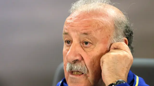 Vicente Del Bosque