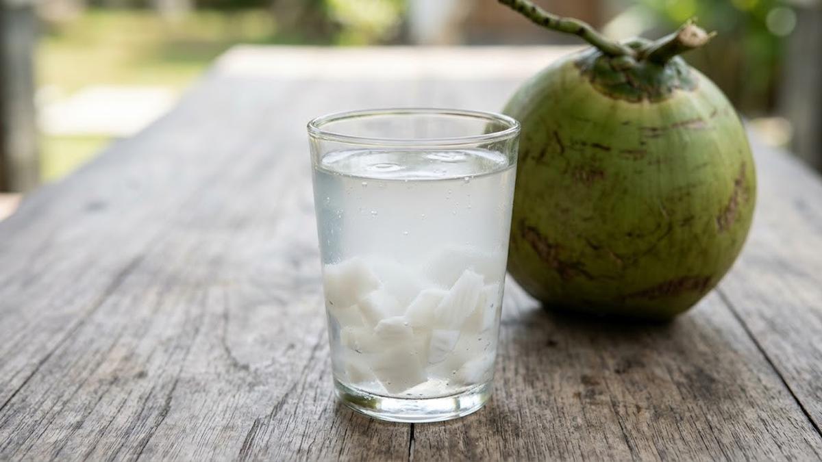 Cara Membuat Jelly Kelapa Muda Tanpa Santan yang Kenyal dan Segar Maksimal
