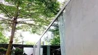 Rekomendasi 8 Jenis Pohon untuk Meneduhkan Taman Rumah